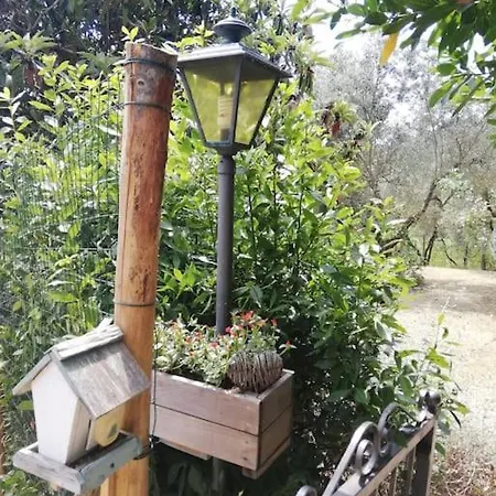 Ferienhaus Nido Di Pace Fra Gli Olivi Montespertoli