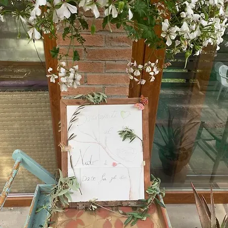 Nido Di Pace Fra Gli Olivi Montespertoli