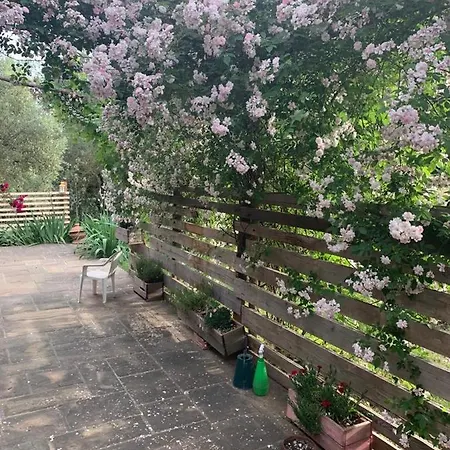 Nido Di Pace Fra Gli Olivi Montespertoli