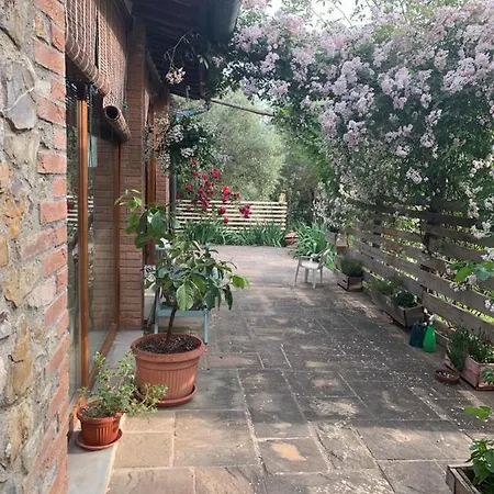 Ferienhaus Nido Di Pace Fra Gli Olivi Montespertoli