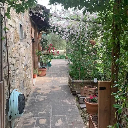 Nido Di Pace Fra Gli Olivi Ferienhaus