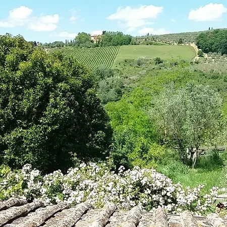 Nido Di Pace Fra Gli Olivi *