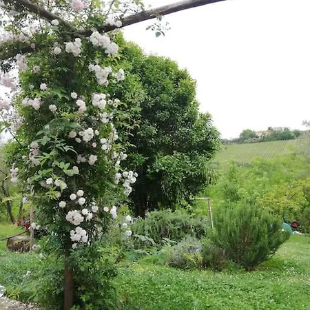 Holiday home Nido Di Pace Fra Gli Olivi