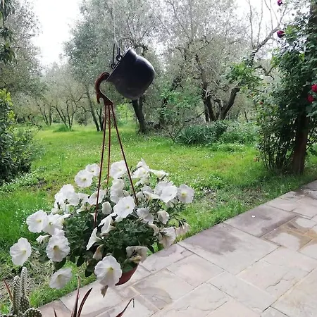 Holiday home Nido Di Pace Fra Gli Olivi