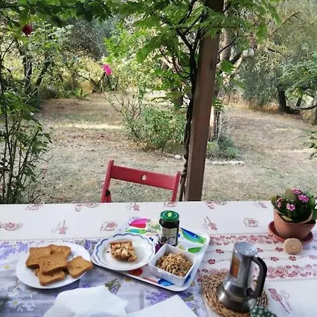 Nido Di Pace Fra Gli Olivi Holiday home *