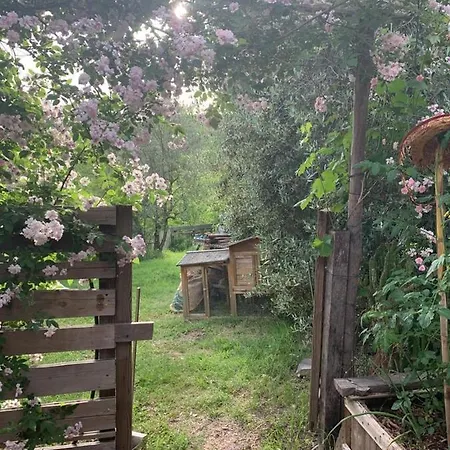 Nido Di Pace Fra Gli Olivi *
