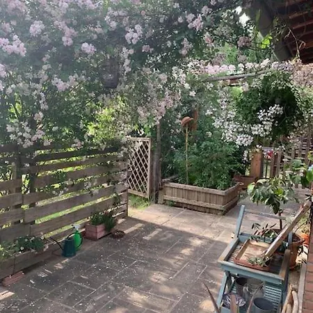 Holiday home Nido Di Pace Fra Gli Olivi Montespertoli