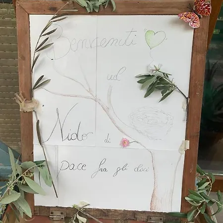 Nido Di Pace Fra Gli Olivi Holiday home