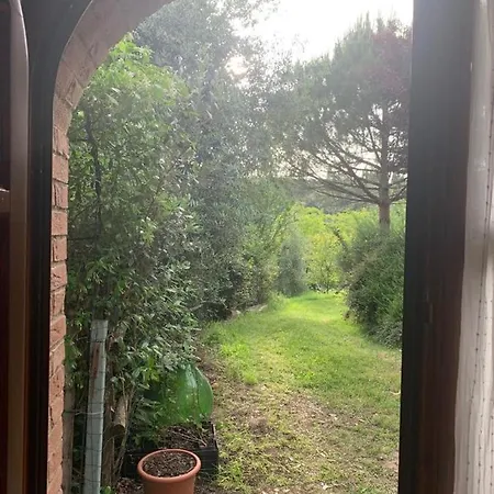 Nido Di Pace Fra Gli Olivi Holiday home *